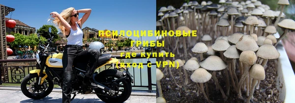Альфа ПВП Алзамай